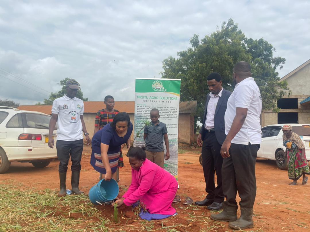 Mrutu Agro-Solutions Company Limited supporting environmental programs by supplying tree and fruits seedlings