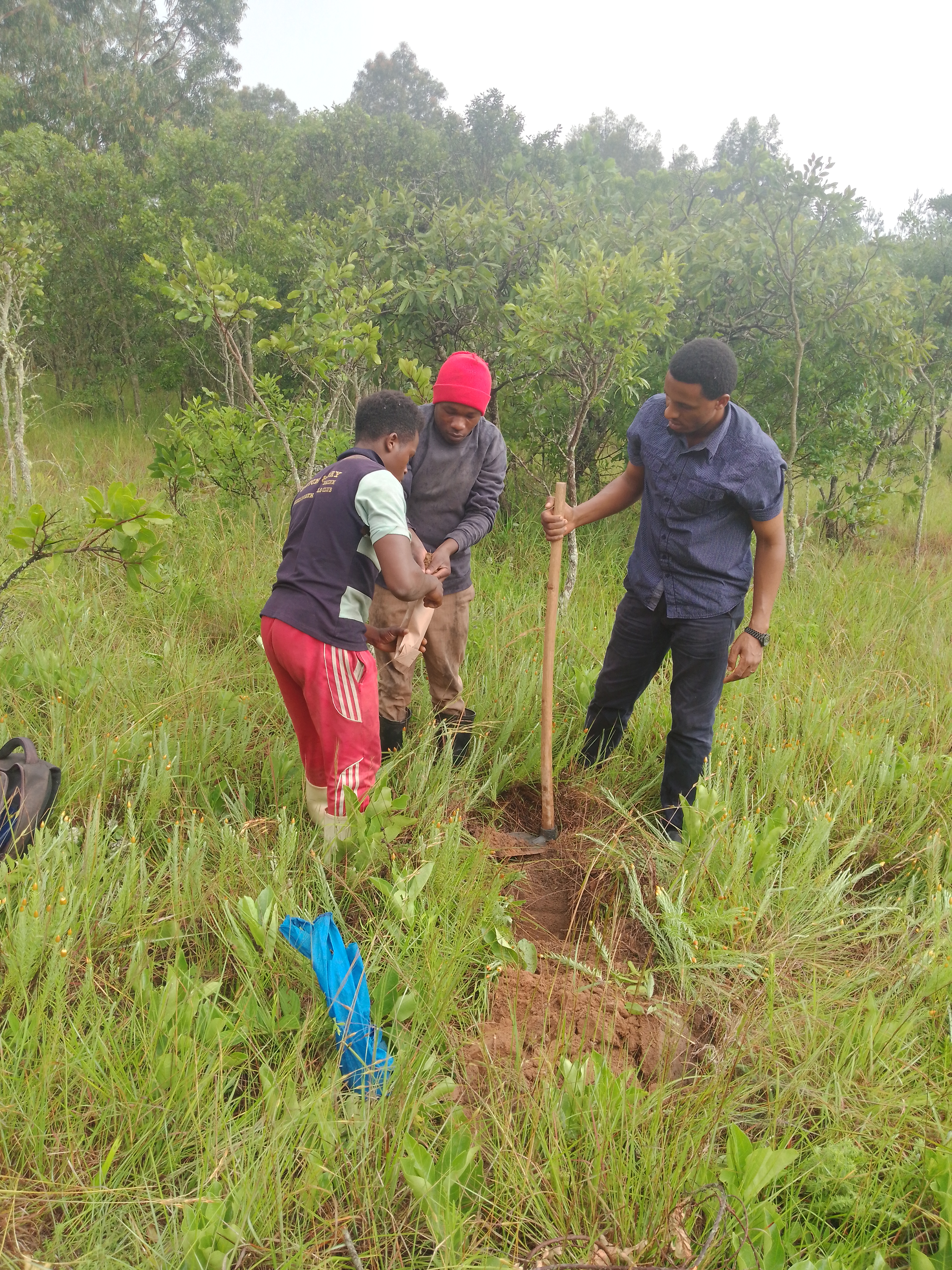 Mrutu Agro-Solutions Company Limited managed to do soil testing & analysis in 100 acres farm located in Iringa where as the client is now doing very well as he is doing farming as a business by observing all good agricultural practices.