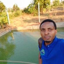 Mrutu Agro-Solutions Company Limited has had established a small demonstration fish farm though at Nane Nane Morogoro