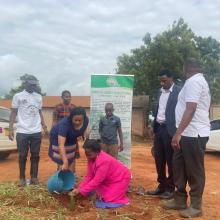 Mrutu Agro-Solutions Company Limited supporting environmental programs by supplying tree and fruits seedlings