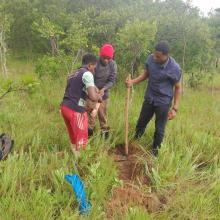 Mrutu Agro-Solutions Company Limited managed to do soil testing & analysis in 100 acres farm located in Iringa where as the client is now doing very well as he is doing farming as a business by observing all good agricultural practices.